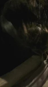 车里